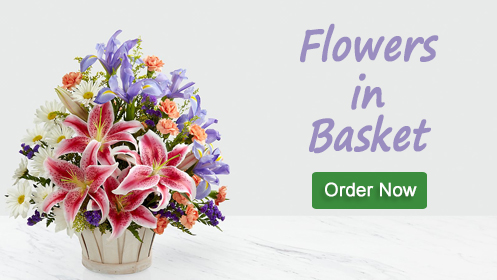 Flowers Basket Oman